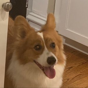 Meet your Posher, Analise